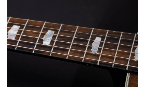 Taylor Custom GO#31Catch Grand Orchestra Acoustic-Electric Guitar Limited-Edition 20 Guitars Worldwide - Natural Walnut