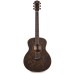 Taylor GS MINI-E-SE-PB Special Edition Acoustic Electric Guitar - Paisley Burst