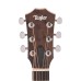 Taylor GS MINI-E-SE-PB Special Edition Acoustic Electric Guitar - Paisley Burst