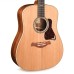Taylor Gold Label 810e Acoustic Electric Guitar - Natural