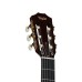 Taylor JMSM Jason Mraz Signature - Natural Red Cedar (PRE ORDER)