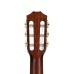 Taylor JMSM Jason Mraz Signature - Natural Red Cedar (PRE ORDER)
