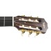 Taylor JMSM Jason Mraz Signature - Natural Red Cedar (PRE ORDER)