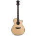 Taylor Legacy 914ce Acoustic Electric Guitar - Natural