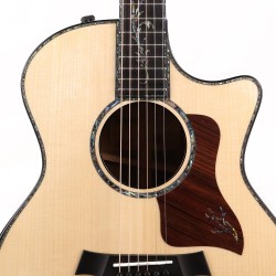 Taylor PS14ce-Adironda Grand Auditorium Presentation Series Deluxe - Natural Adirondack Spruce