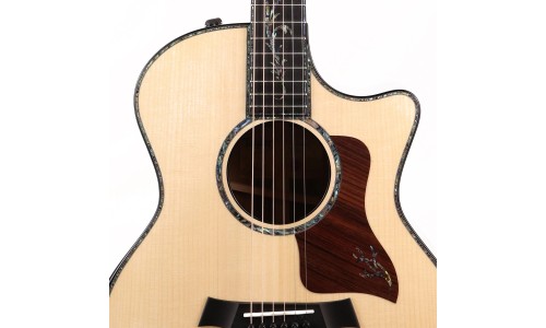 Taylor PS14ce-Adironda Grand Auditorium Presentation Series Deluxe - Natural Adirondack Spruce