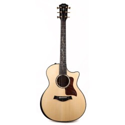 Taylor PS14ce-Adironda Grand Auditorium Presentation Series Deluxe - Natural Adirondack Spruce