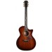 Taylor PS14ce-Ironbark Urban Ironbark Acoustic-Electric Guitar - Tobacco