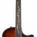 Taylor PS14ce-Ironbark Urban Ironbark Acoustic-Electric Guitar - Tobacco