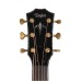 Taylor PS14ce-Ironbark Urban Ironbark Acoustic-Electric Guitar - Tobacco
