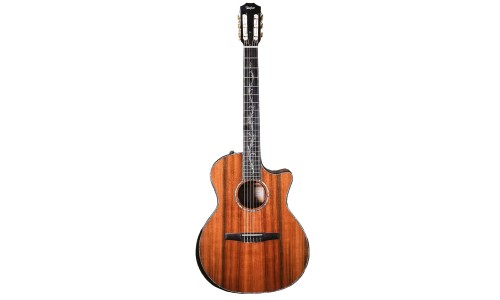 Taylor PS14ce-N Honduran Rosewood Sinker Redwood Nylon Acoustic Electric Guitar - Shaded Edgeburst