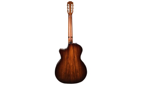 Taylor PS14ce-N Honduran Rosewood Sinker Redwood Nylon Acoustic Electric Guitar - Shaded Edgeburst