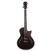 Taylor T5z Pro Gaslamp Hollowbody Acoustic-Electric Guitar - Gaslamp Black