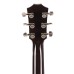 Taylor T5z Pro Gaslamp Hollowbody Acoustic-Electric Guitar - Gaslamp Black