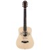 Taylor TS-BT Taylor Swift Baby Taylor Sitka Spruce Top - Natural