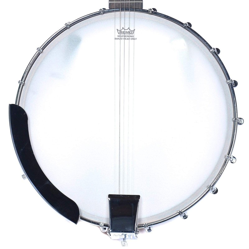 Epiphone EFB0NACH1 MB-100 5-String Banjo - Natural