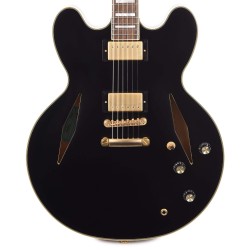 Epiphone ETSEWBAGGH3 Artist Emily Wolfe Sheraton Stealth Semi-Hollowbody Electric Guitar - Black Aged Gloss