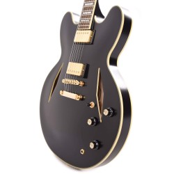 Epiphone ETSEWBAGGH3 Artist Emily Wolfe Sheraton Stealth Semi-Hollowbody Electric Guitar - Black Aged Gloss