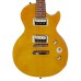 Epiphone PPGS-ENA2AANH3 Slash AFD Les Paul Performance Pack Electric Guitar - Appetite Amber