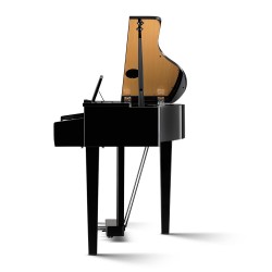 Kawai DG30 EP Digital Grand Piano - Ebony Polish Finish