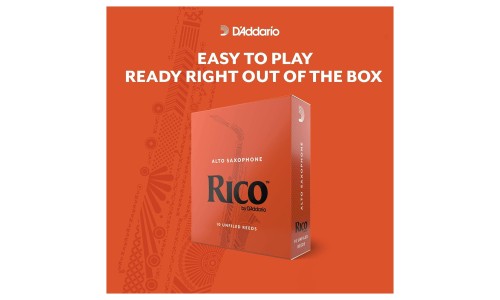 Rico by D'Addario RIA0320 Soprano Saxophone Reeds - Strength 2 - 3 Pieces