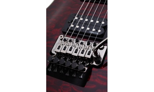 Schecter 2006 Electric Guitar Omen Extreme-FR - Black Cherry