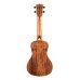 Kala Solid Acacia Series - Concert Ukulele - Acacia Finish - B-Stock (Hairline Cracked)