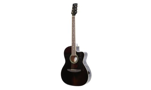 Carlos C901BK Acoustic Guitar - Black