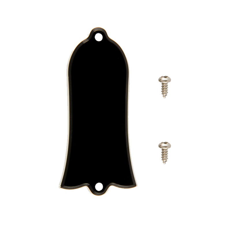 Gibson Accessories PRTR-010 Truss Rod Cover Blank