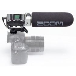 Zoom F1-SP Field Recorder and Shotgun Mic