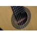 Alhambra 280 Classical Guitar Mengual & Margarit NT Series Signature Model - Solid Red Cedar / Solid Indian Rosewood Alhambra 280 Classical Guitar Mengual & Margarit NT Series Signature Model - Solid Red Cedar / Solid Indian Rosewood