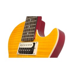 Epiphone PPGS-ENA2AANH3 Slash AFD Les Paul Performance Pack Electric Guitar - Appetite Amber