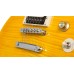 Epiphone PPGS-ENA2AANH3 Slash AFD Les Paul Performance Pack Electric Guitar - Appetite Amber